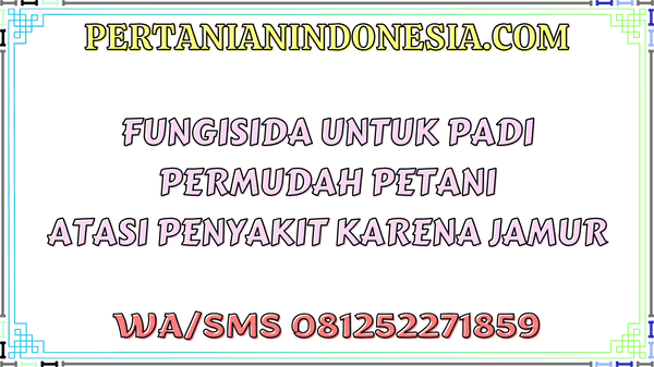 Fungisida Untuk Padi Permudah Petani Atasi Penyakit Karena Jamur